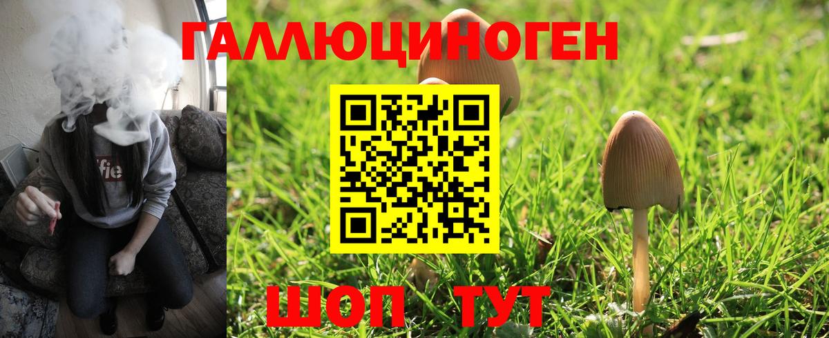 Галлюциногенные грибы Cubensis  Вход с VPN  Карталы 