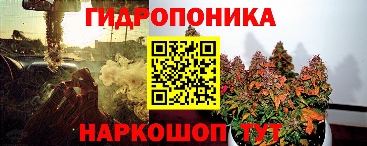 МАРИХУАНА план  Бошки Шишки гибрид  Вход с VPN  Канабис индика  Карталы 